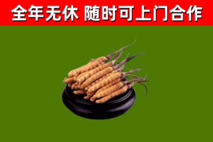 雨花台区烟酒回收冬虫夏草.jpg